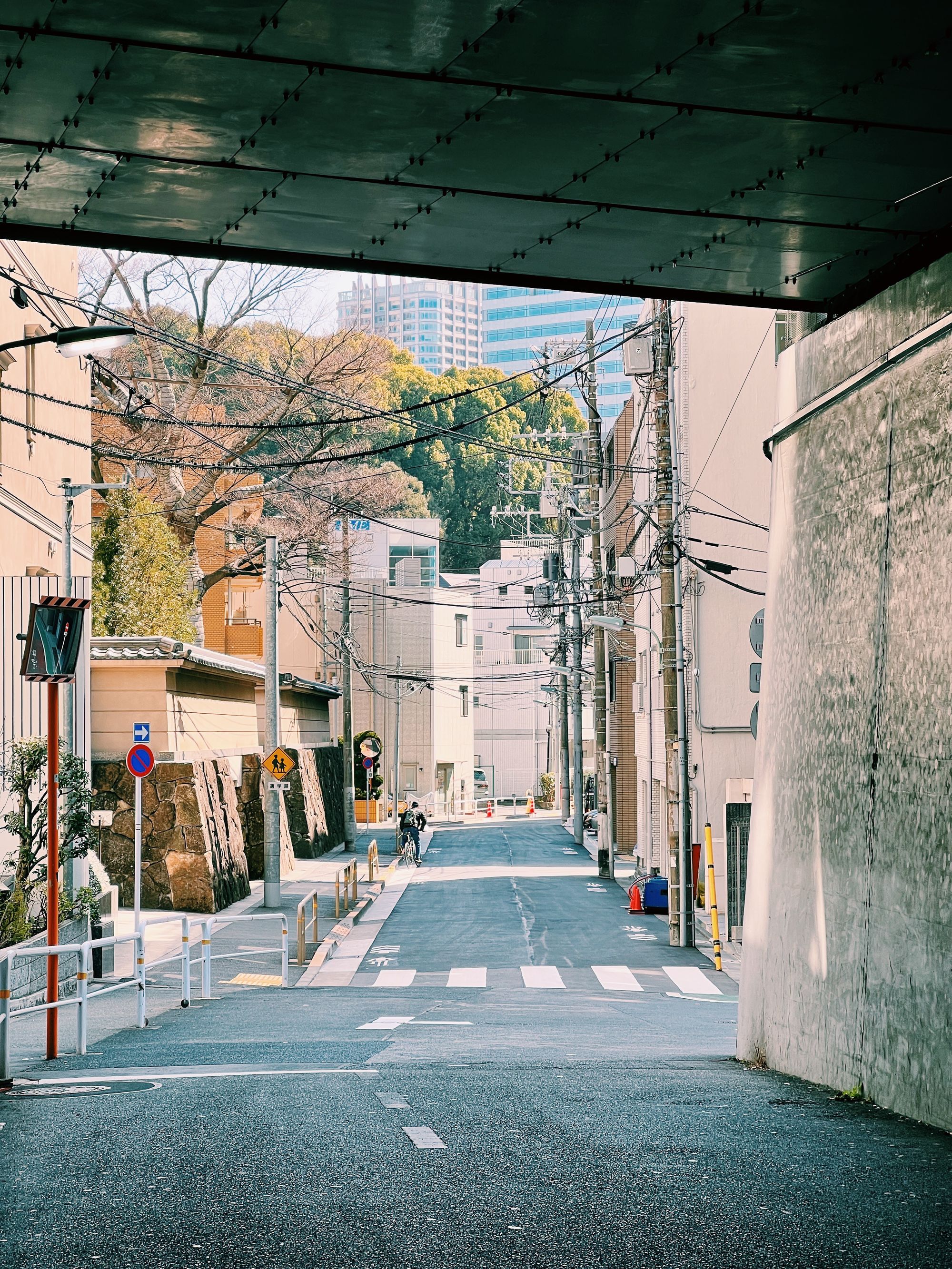 Digital Nomad Life in Tokyo