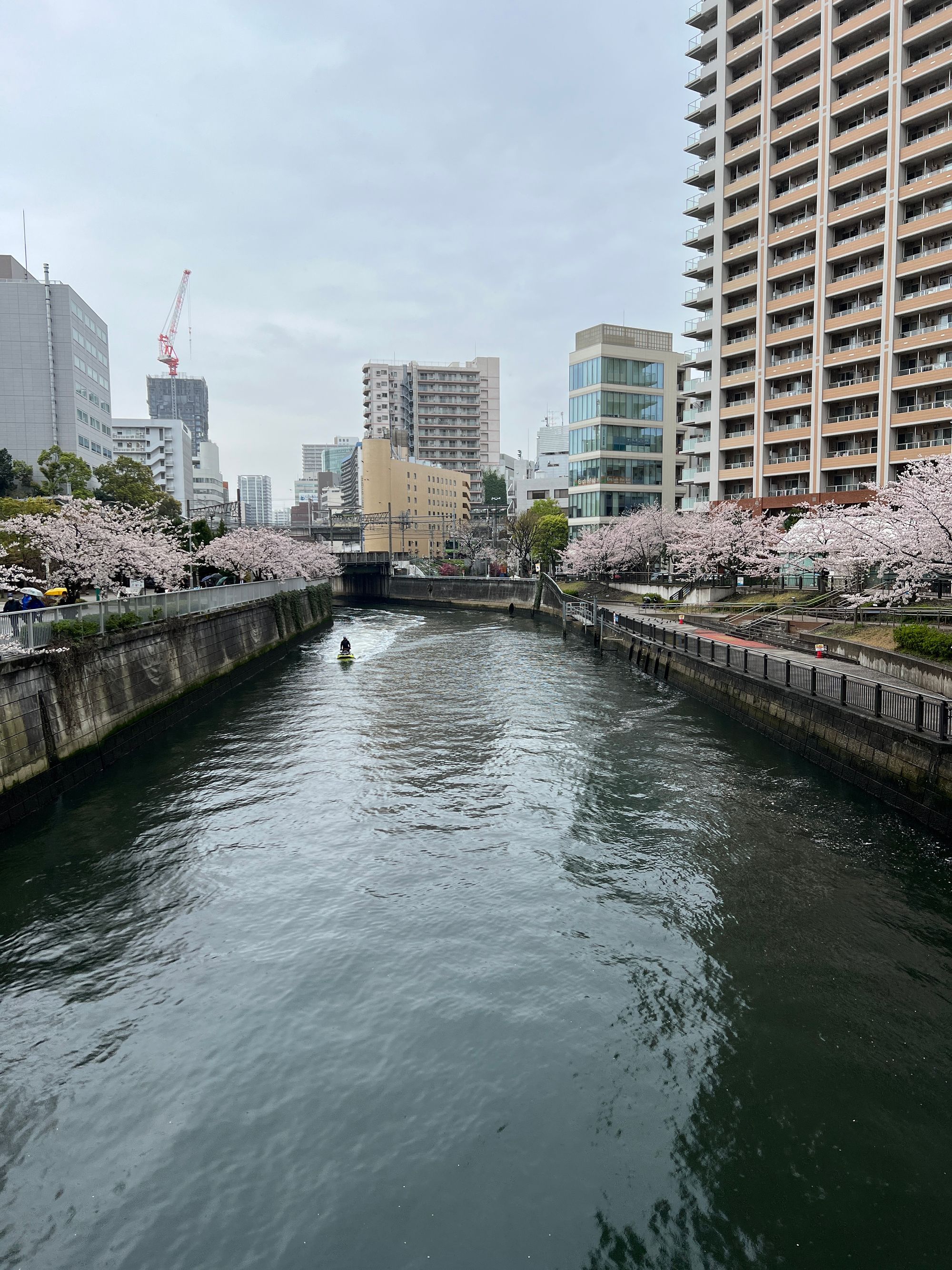 Digital Nomad Life in Tokyo