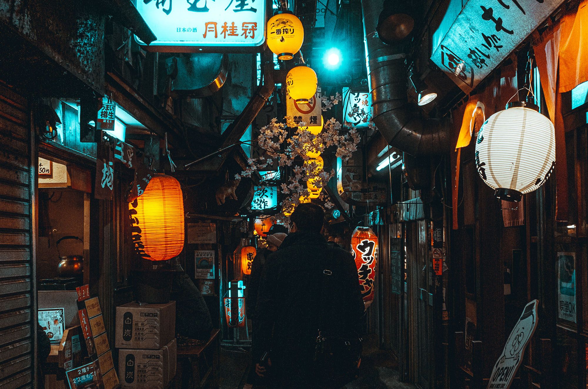 Digital Nomad Life in Tokyo